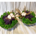 set boluri licheni